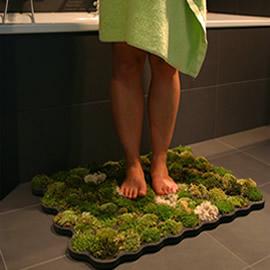 设计师 Nguyen La Chanh 设计的苔藓地毯（Moss Carpet）