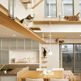 图片是建筑商 Asahi Kasei 设计的猫居室