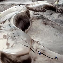 2009年达喀尔拉力赛（The 2009 Dakar Rally）