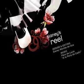 艺术指导、设计师和动画师 Sianey 的作品网站