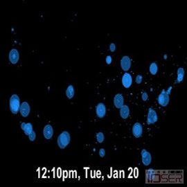 图片是Twitter 用户关注奥巴马就职典礼的活动