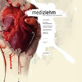 网页设计师 Mediziehm 的作品