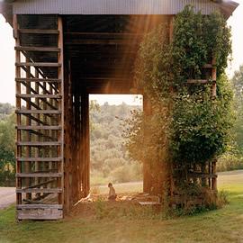 摄影师 Samantha Contis 的作品