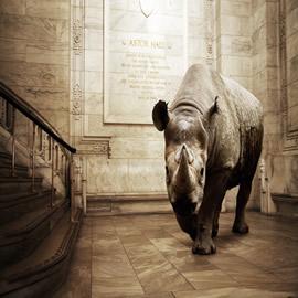 摄影师 Mikel Uribetxeberria 的作品