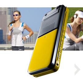 Casio CA001