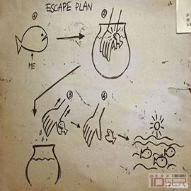 图片是逃跑计划 Kaçış Planı