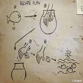 逃跑计划 Kaçış Planı