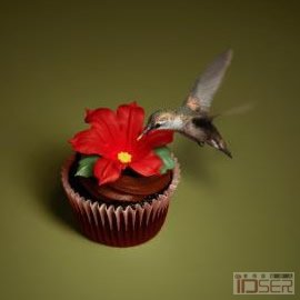 图片是广告 Eini & Co cupcakes: Hummingbird