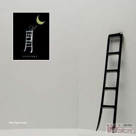 图片是 来自设计师 Mike Mak 的“月”梯子（Moon reach ladder）