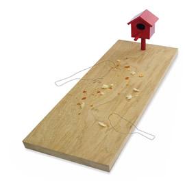来自以色列 Reddish 设计室的两位设计师 Naama Steinbock 和 Idan Friedman 带来一个友好的鸟房（bird bread ）