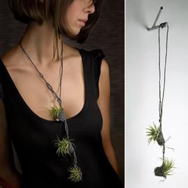 设计师 Paula Hayes 设计的植物项链（Living Necklaces）