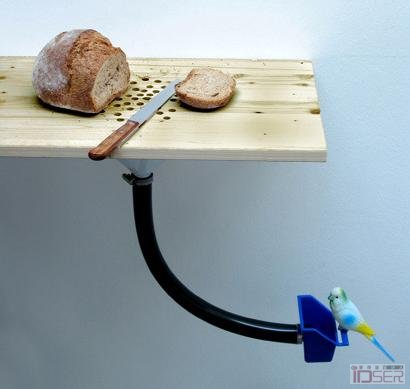 图片是鸟食盘子