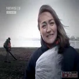 图片是DELVOS 吹落叶机的广告