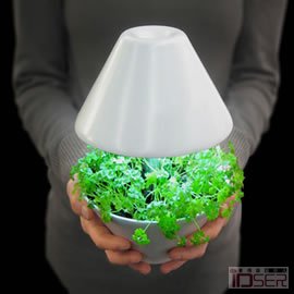 图片是来自studio shulab 设计室的两位设计师 Kfir Schwalb 和 Orit Magia 带来的 lightpot