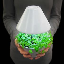 来自studio shulab 设计室的两位设计师 Kfir Schwalb 和 Orit Magia 带来的 lightpot