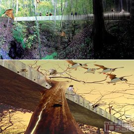 图片是Bird Bridge(鸟桥)