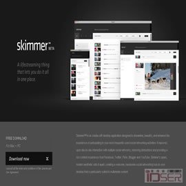 图片是 Skimmer