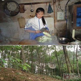 图片是四川女农民卢慧和她的无线网络