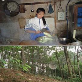 四川女农民卢慧和她的无线网络