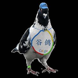 谷鸽