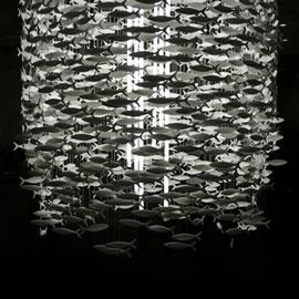 Scabetti 设计室带来的 Shoal 吊灯