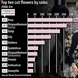 图片是《经济学家》 Top ten cut flower by sales