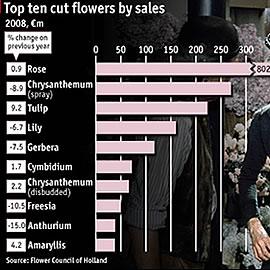 《经济学家》 Top ten cut flower by sales