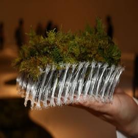 Terramac，biodegradable moss，2009 Milan Furniture Fair，