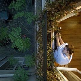 摄影师 Lucie & Simon， 摄影作品