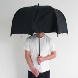Polite Umbrella