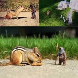 摄影，摄影师 Chris McVeigh