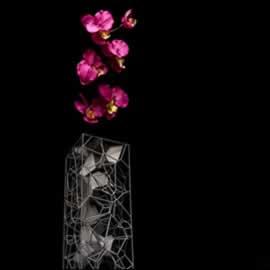 花瓶，Pandora，产品设计