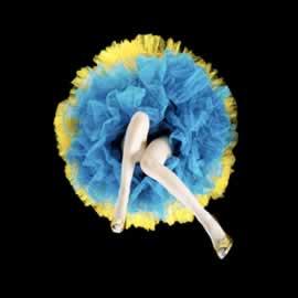 Daryl Banks，摄影师，摄影