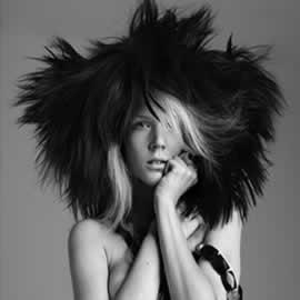 摄影师 Marc Philbert 的作品