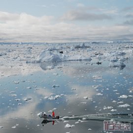 Boston Big Picture，Greenland