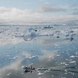 Boston Big Picture，Greenland
