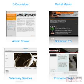 Wix 可以让你定制自己的Flash网