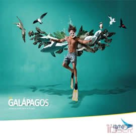 Tame Ecuador Airlines 航空公司的海报
