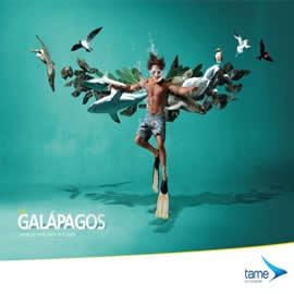 Tame Ecuador Airlines 航空公司的海报
