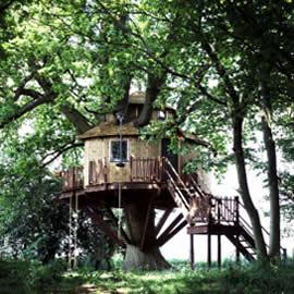 Amazon Tree House