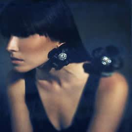 Wilkosz+Way 摄影室的作品