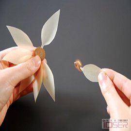 Cung-Young Chu