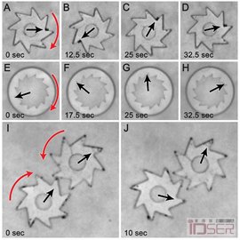 Argonne National Laboratory and Northwestern University ,bacteria to spin tiny gears