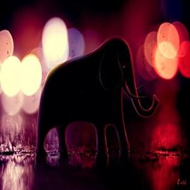 Dmitry Maximov, 插画作品