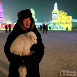 哈尔滨冰雪节，Boston大图片