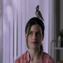 PepsiCo Twistos crackers: Woodpecker