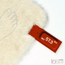 设计师Kwon Sunman，Rug with Scale，