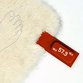 设计师Kwon Sunman，Rug with Scale，