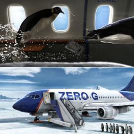 Delapostparis，3d动画