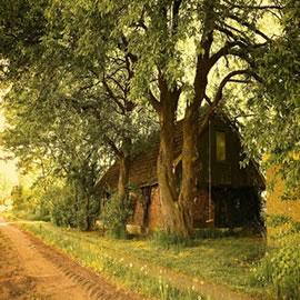 摄影师 Lars Van De Goor 的作品